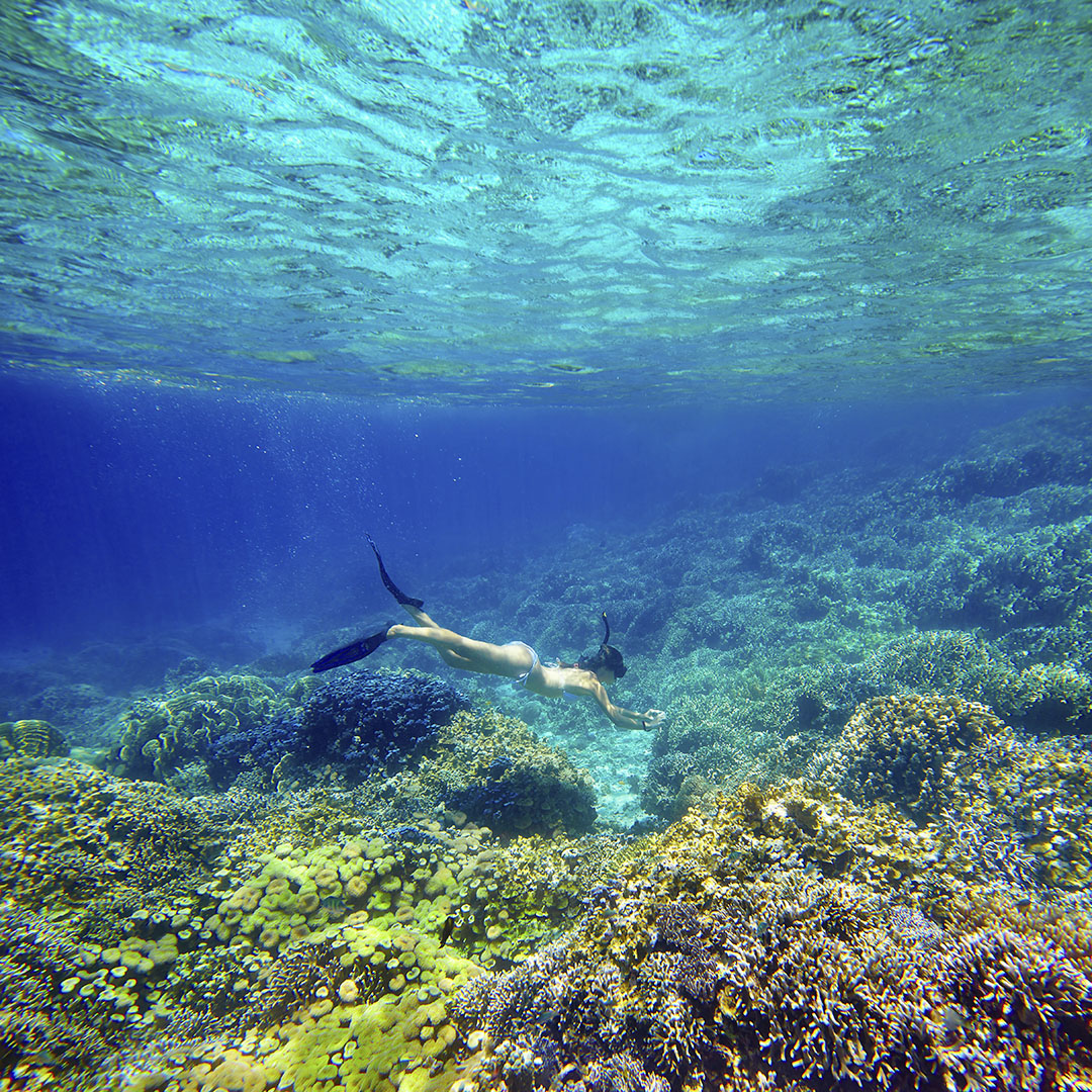 HALVDAG - Snorkelsafari (från Khao Lak)